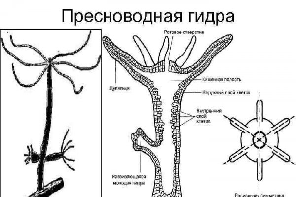 Kraken зеркала gigageek ru