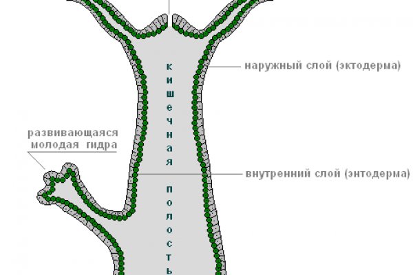 Ссылка на кракен реальная