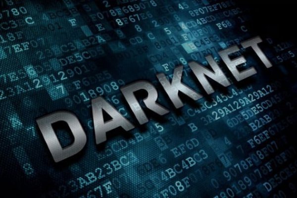 Kraken online