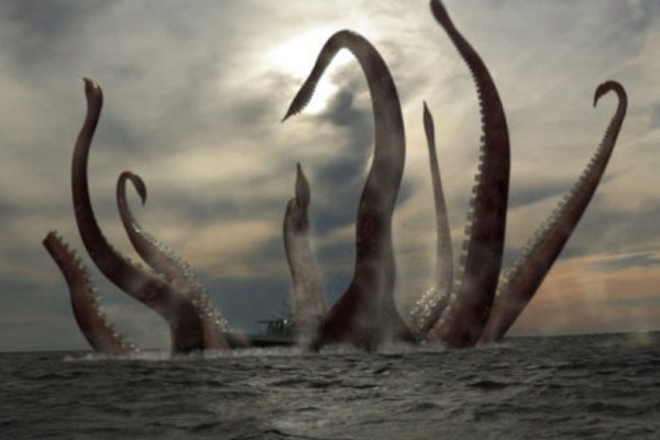 Kraken даркнет что это