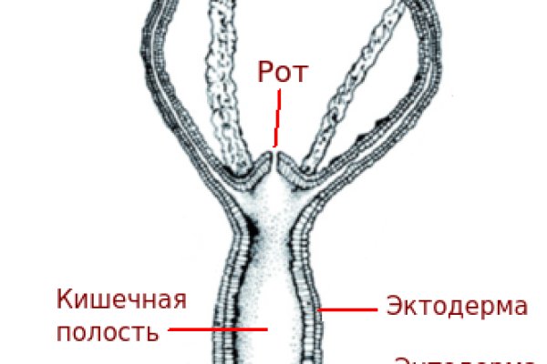 Кракен марихуана