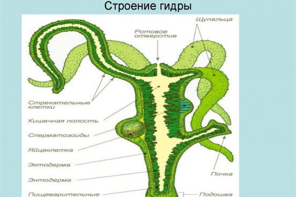 Рабочая ссылка кракен в тор